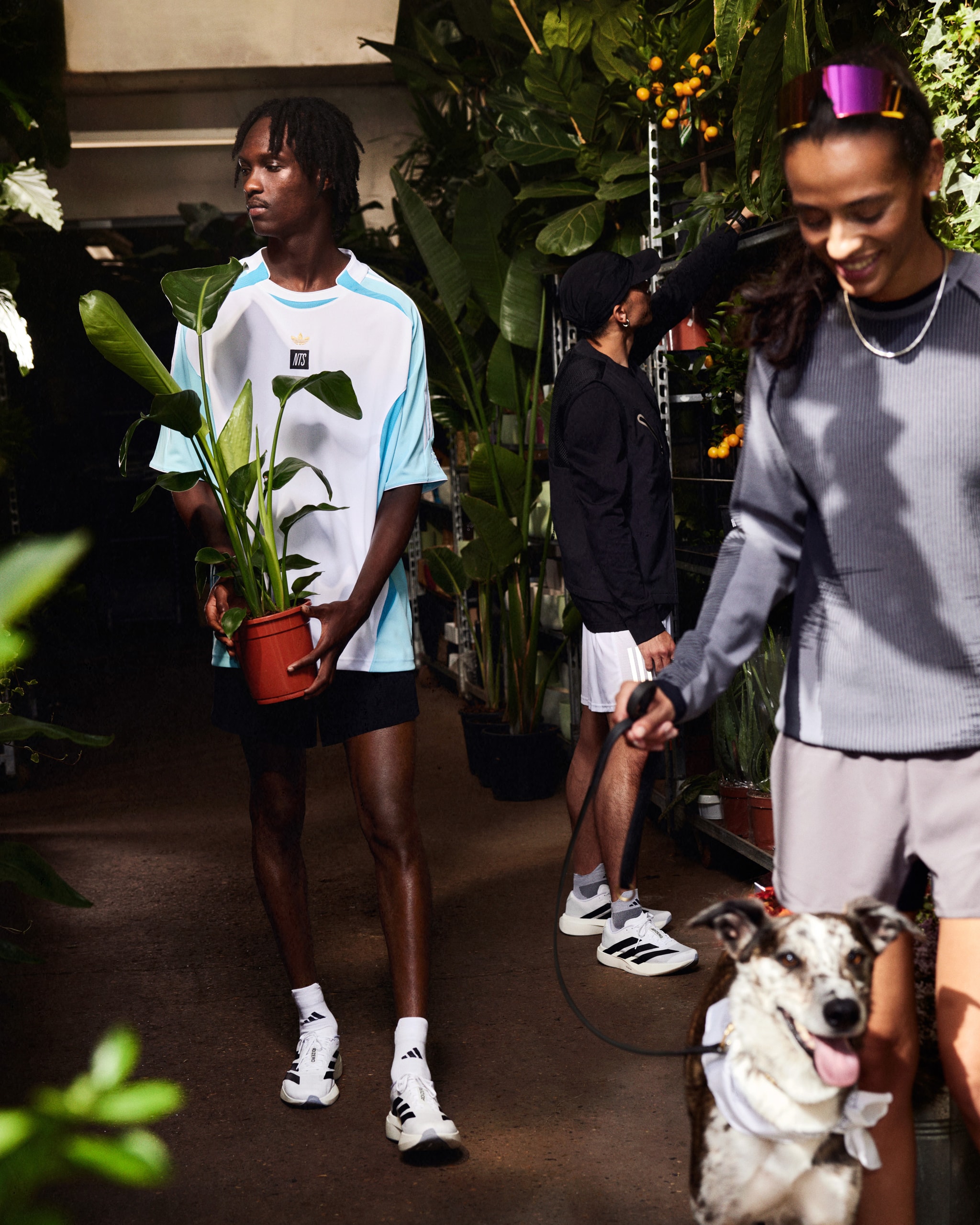 The Midnight Club, 2026